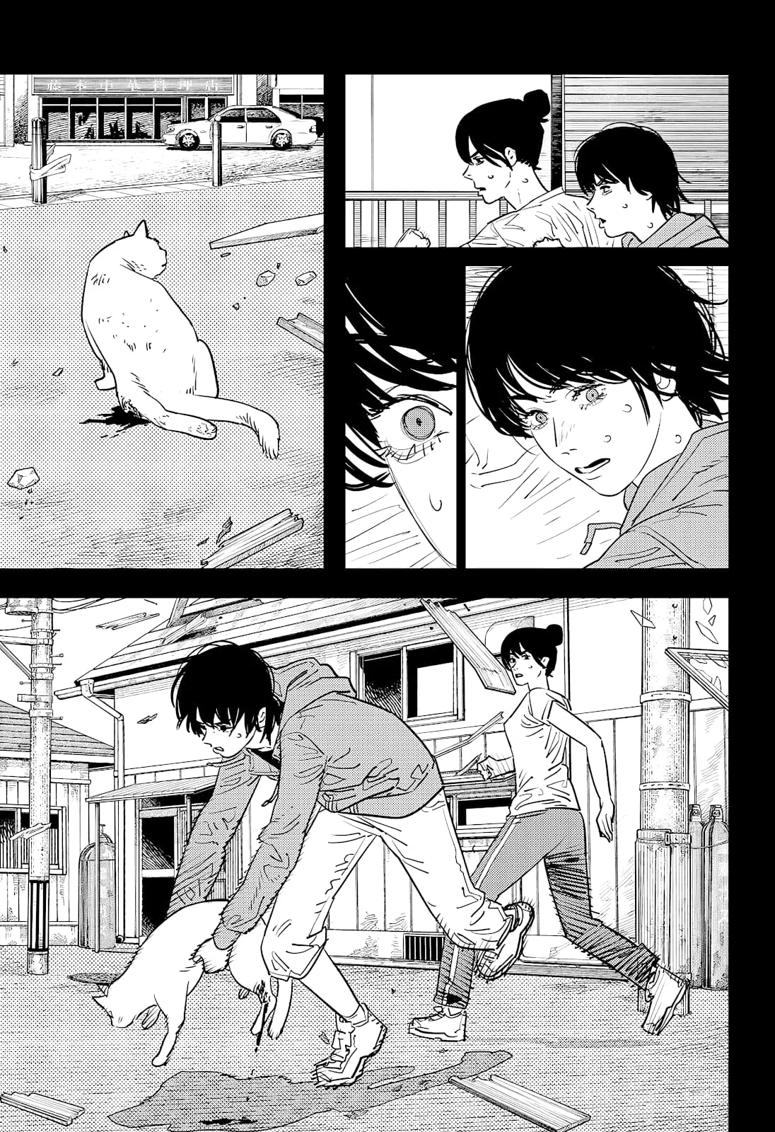 Chainsaw Man Capítulo 102 Página 16