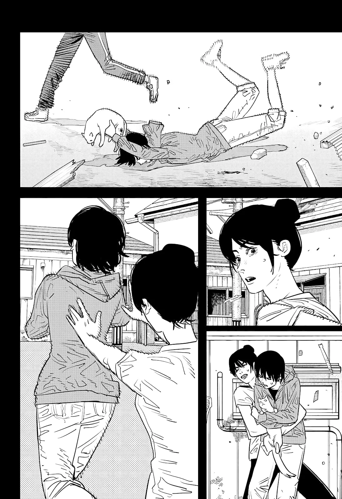 Chainsaw Man Capítulo 102 Página 17