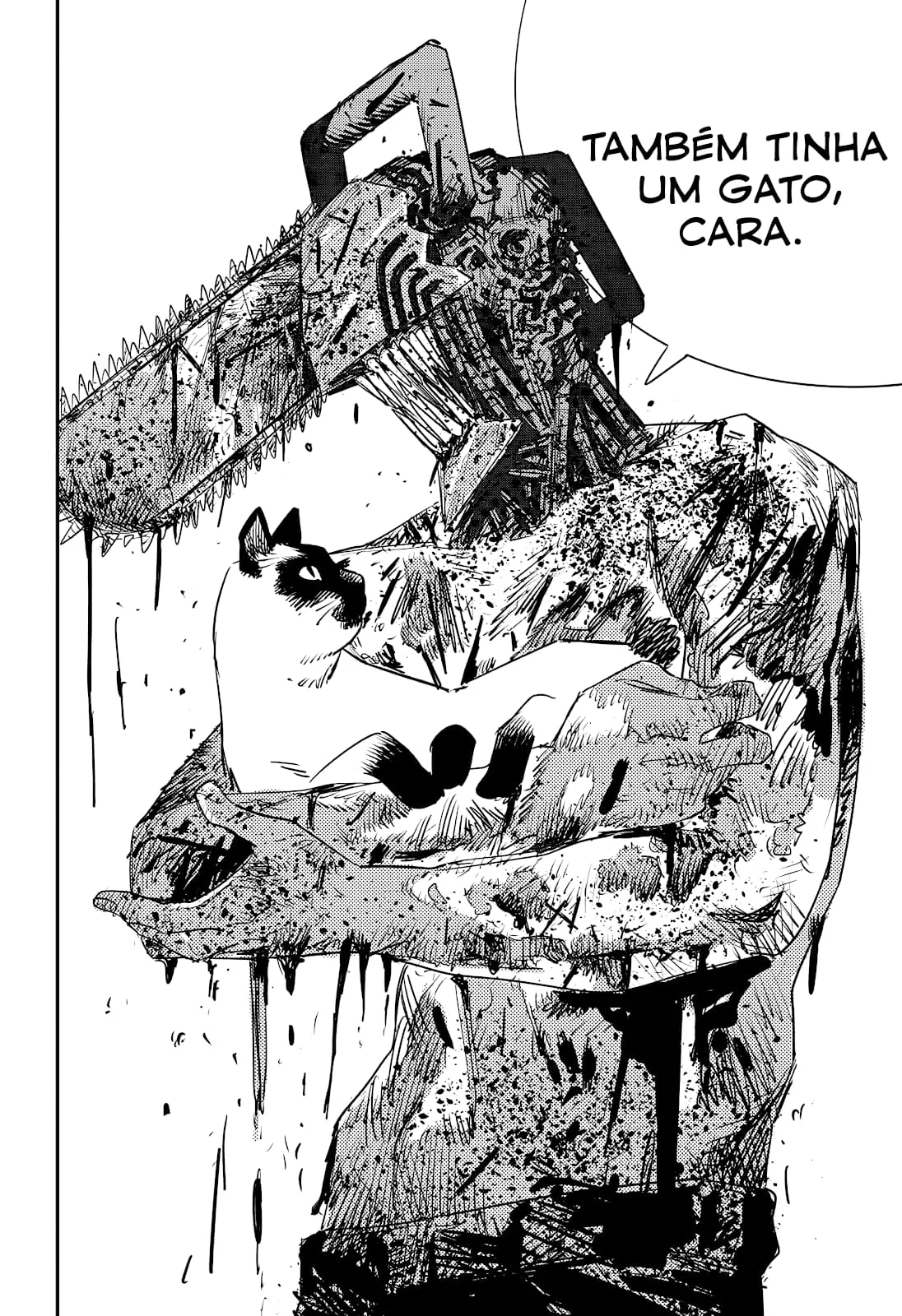 Chainsaw Man Capítulo 102 Página 41
