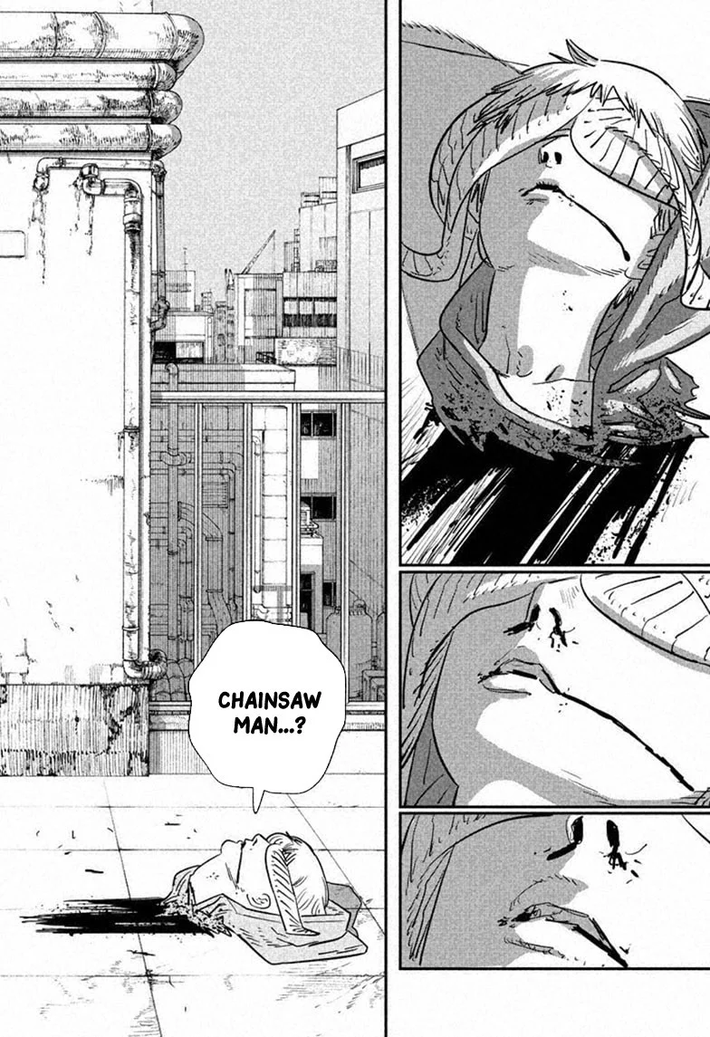 Chainsaw Man Capítulo 111 Página 17