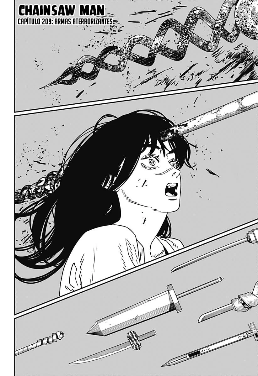 Chainsaw Man Capítulo 209 Página 2