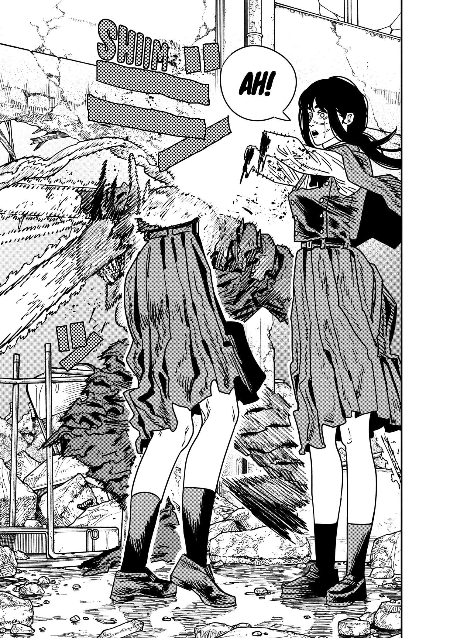 Chainsaw Man Capítulo 219 Página 12