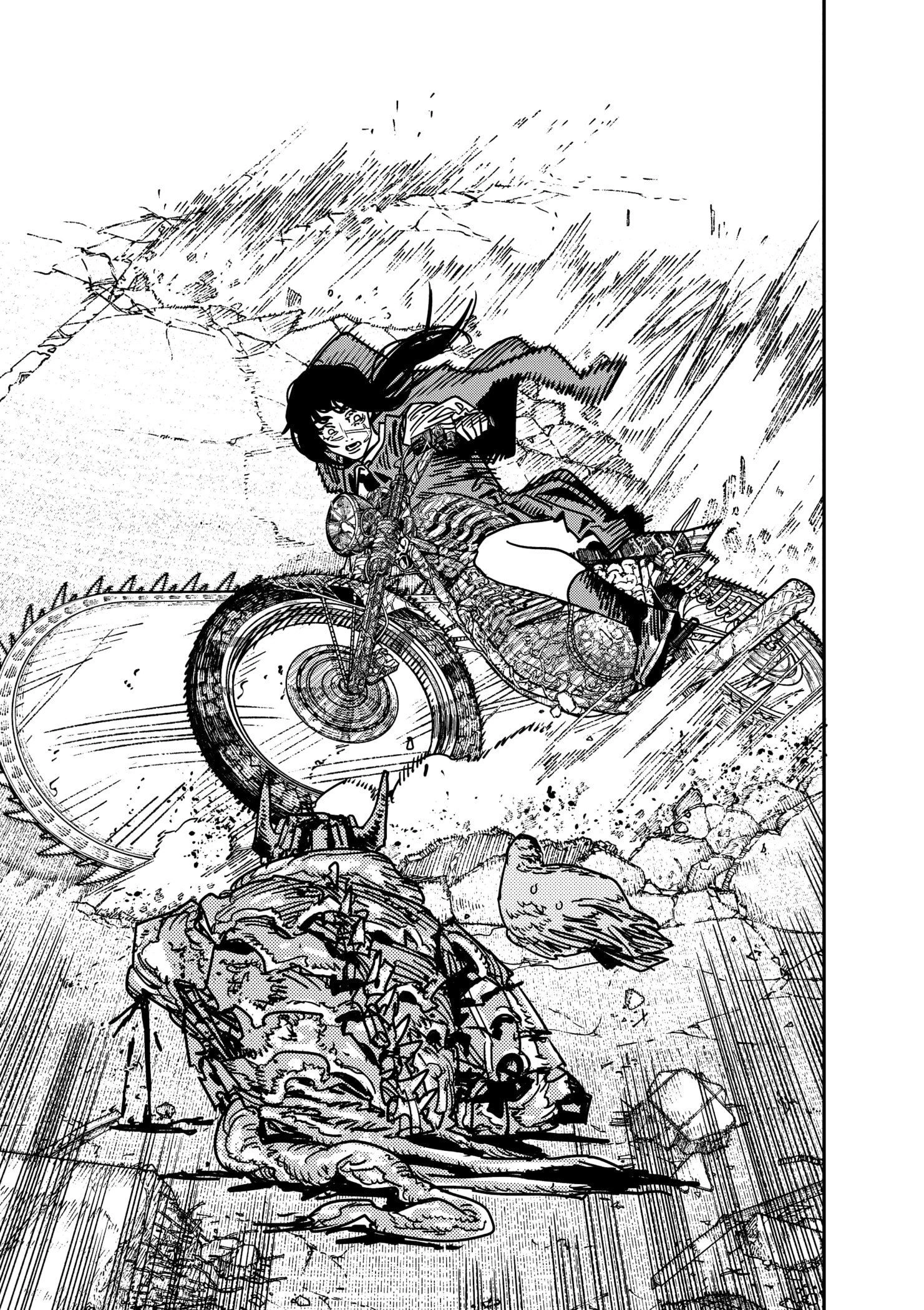 Chainsaw Man Capítulo 228 Página 10