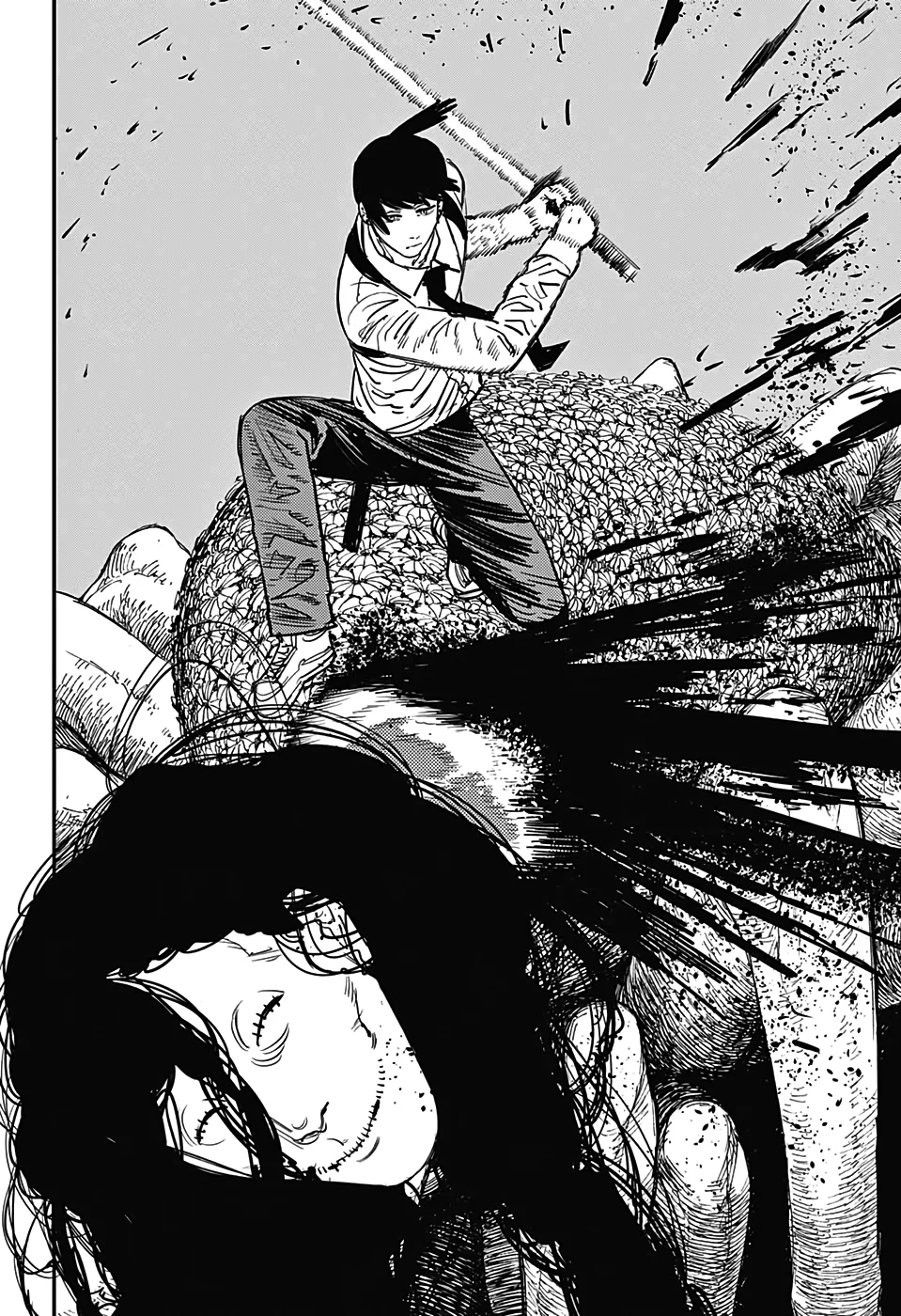 Chainsaw Man Capítulo 35 Página 17