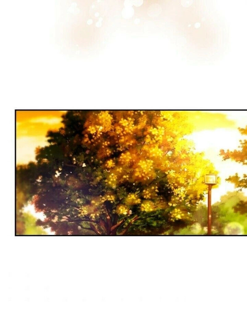 Daytime Star Capítulo 36 Página 41