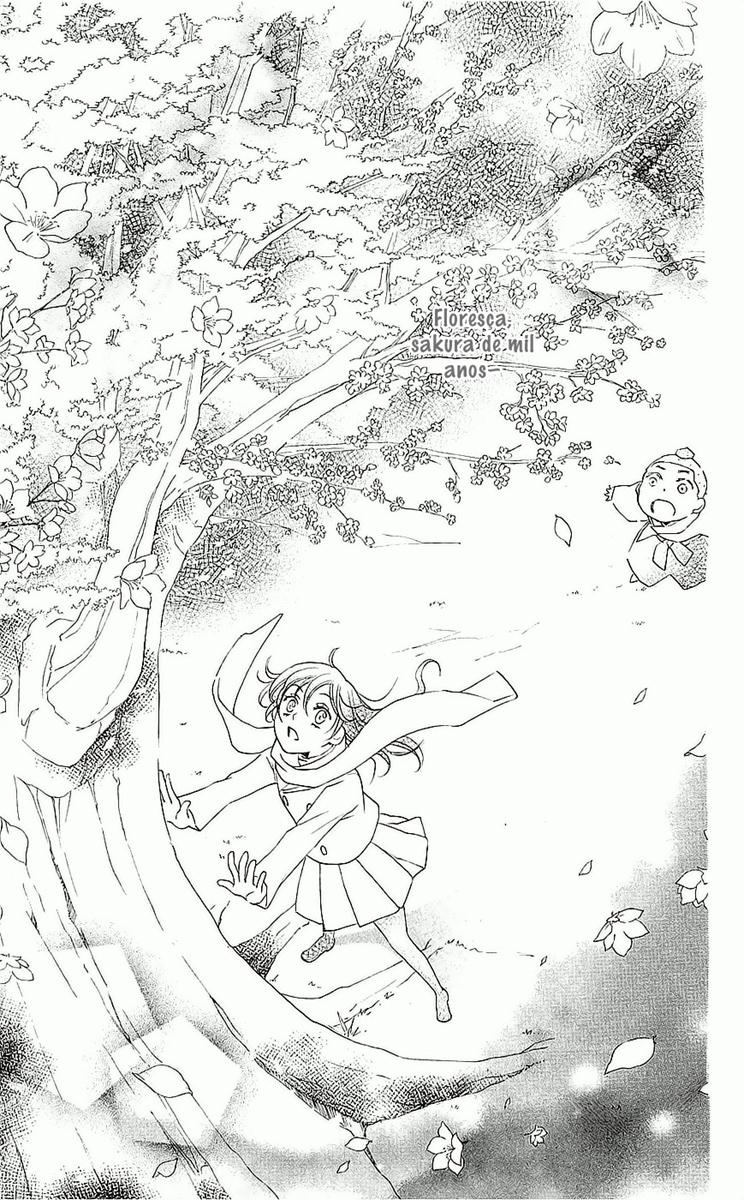 Divine Nanami Capítulo 53 Página 24