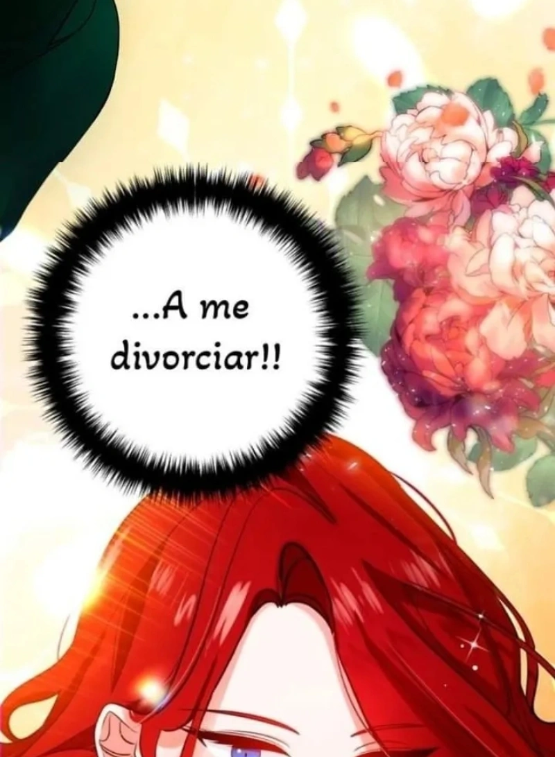 Divorce Me, Husband! Capítulo 1 Página 125