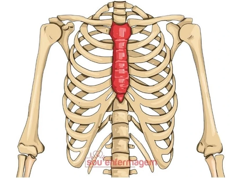 Doctor Elise Capítulo 125 Página 82