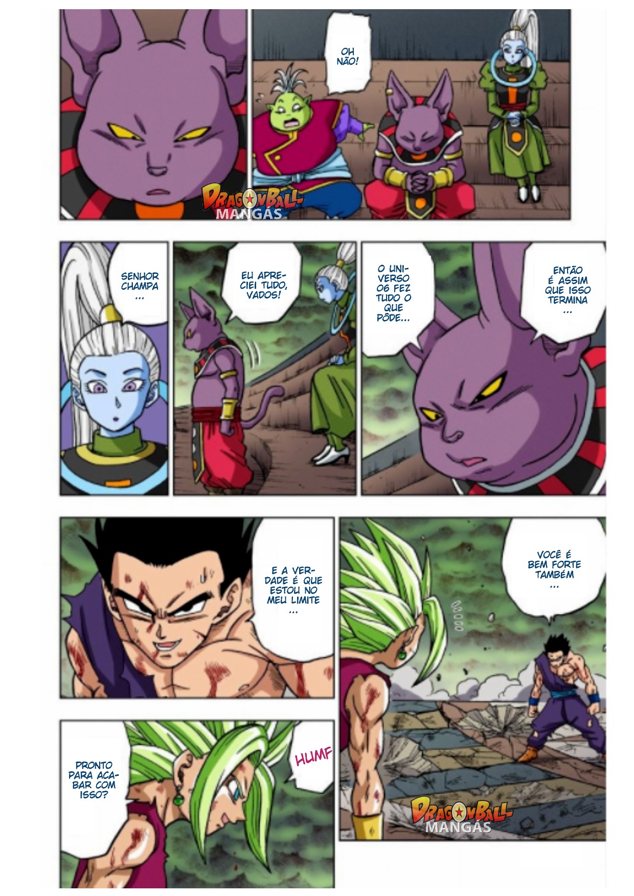 Dragon Ball Super (Official Colored) Capítulo 39 Página 13