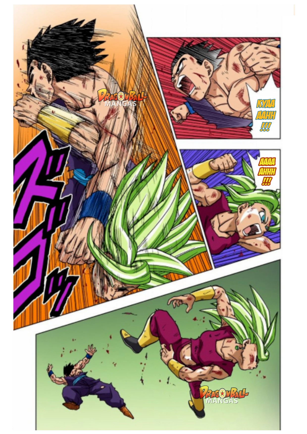 Dragon Ball Super (Official Colored) Capítulo 39 Página 14