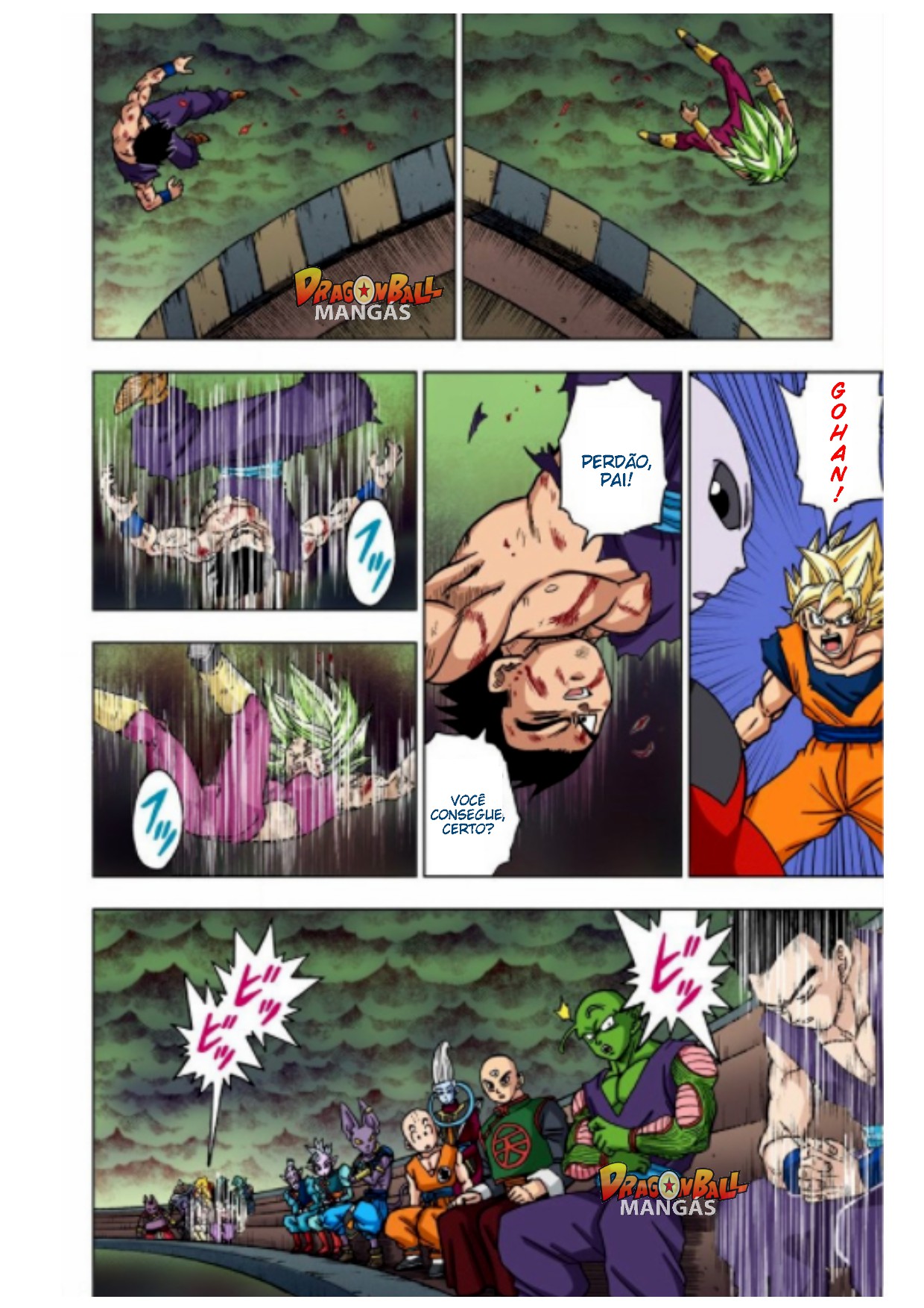 Dragon Ball Super (Official Colored) Capítulo 39 Página 15
