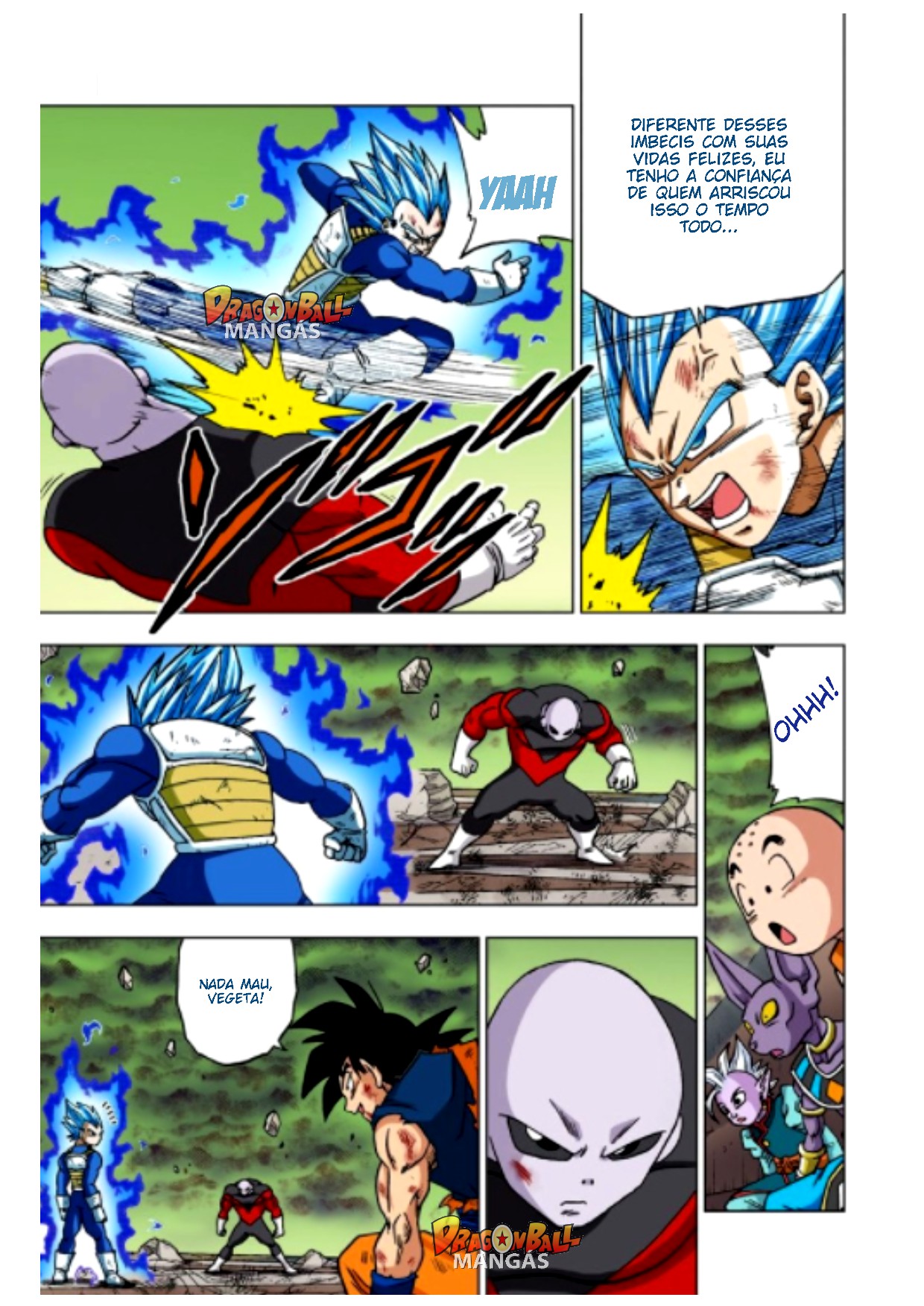 Dragon Ball Super (Official Colored) Capítulo 40 Página 12