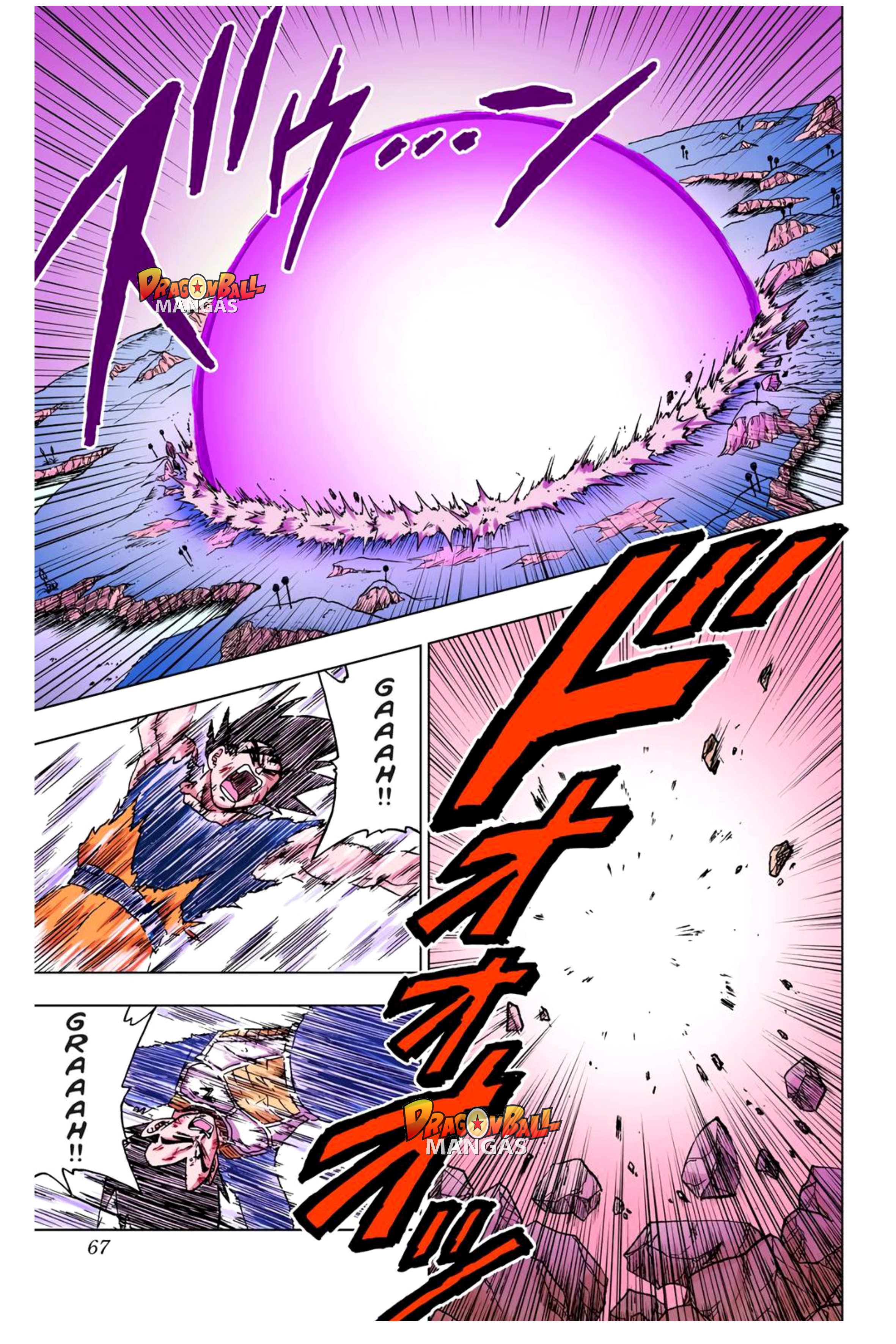 Dragon Ball Super (Official Colored) Capítulo 46 Página 15