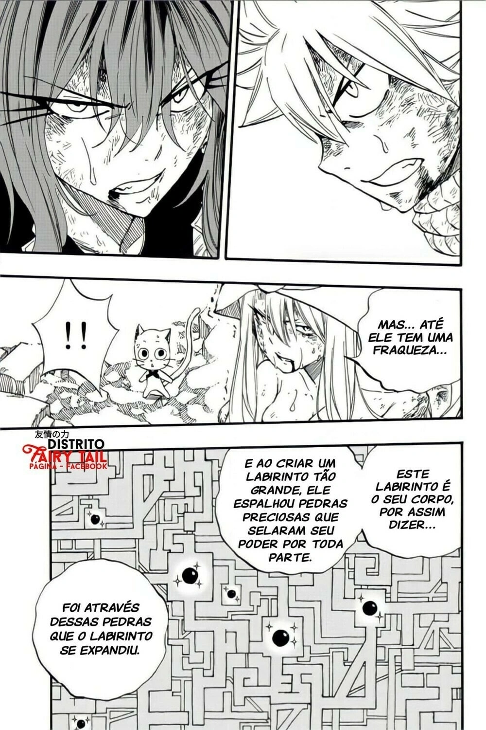 FAIRY TAIL: 100 Years Quest Capítulo 111 Página 14