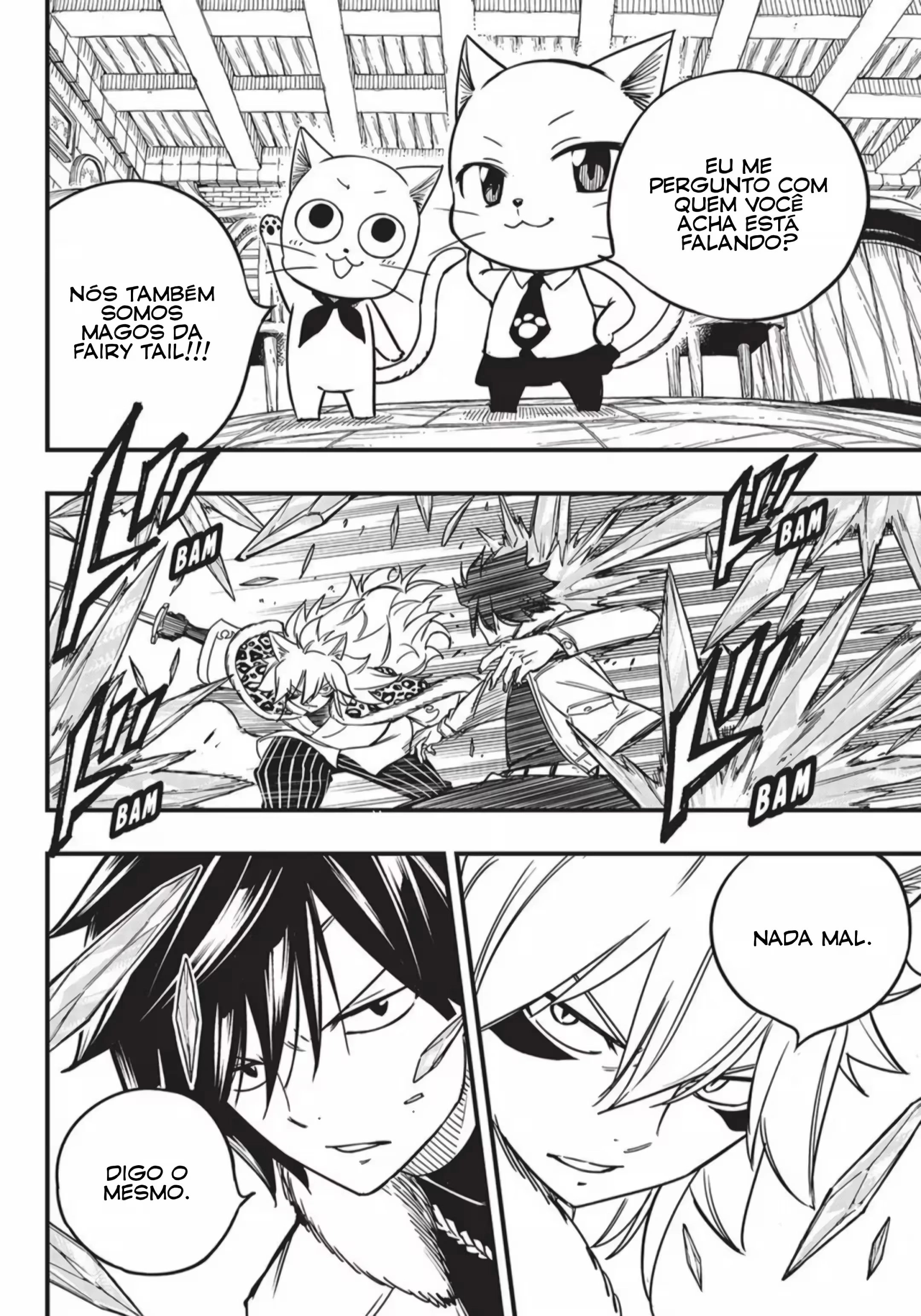 FAIRY TAIL: 100 Years Quest Capítulo 160 Página 13