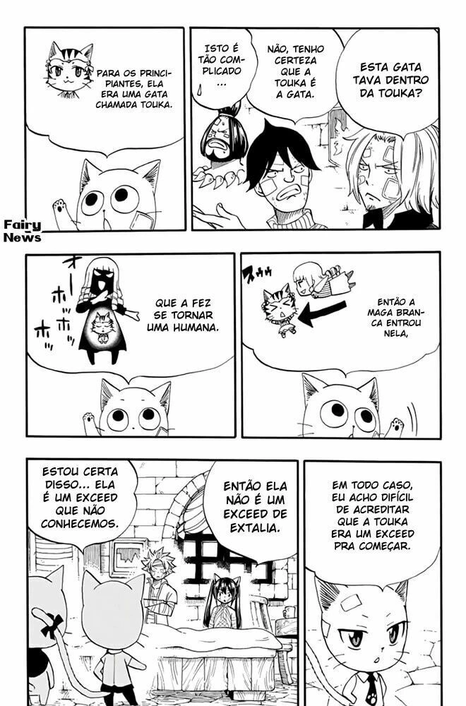 FAIRY TAIL: 100 Years Quest Capítulo 63 Página 13