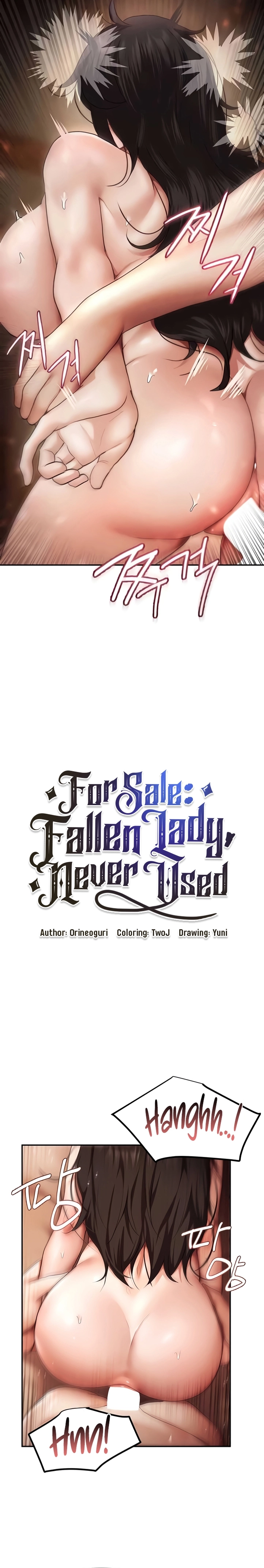 For Sale: Fallen Lady, Never Used Capítulo 16 Página 2