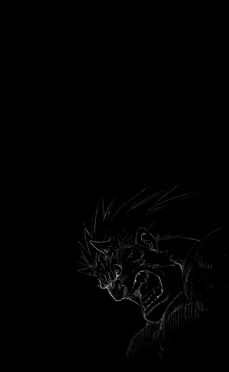 Fullmetal Alchemist Capítulo 30 Página 9