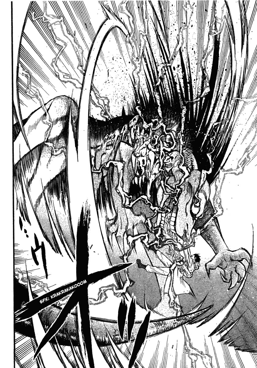 Fullmetal Alchemist Capítulo 79 Página 25
