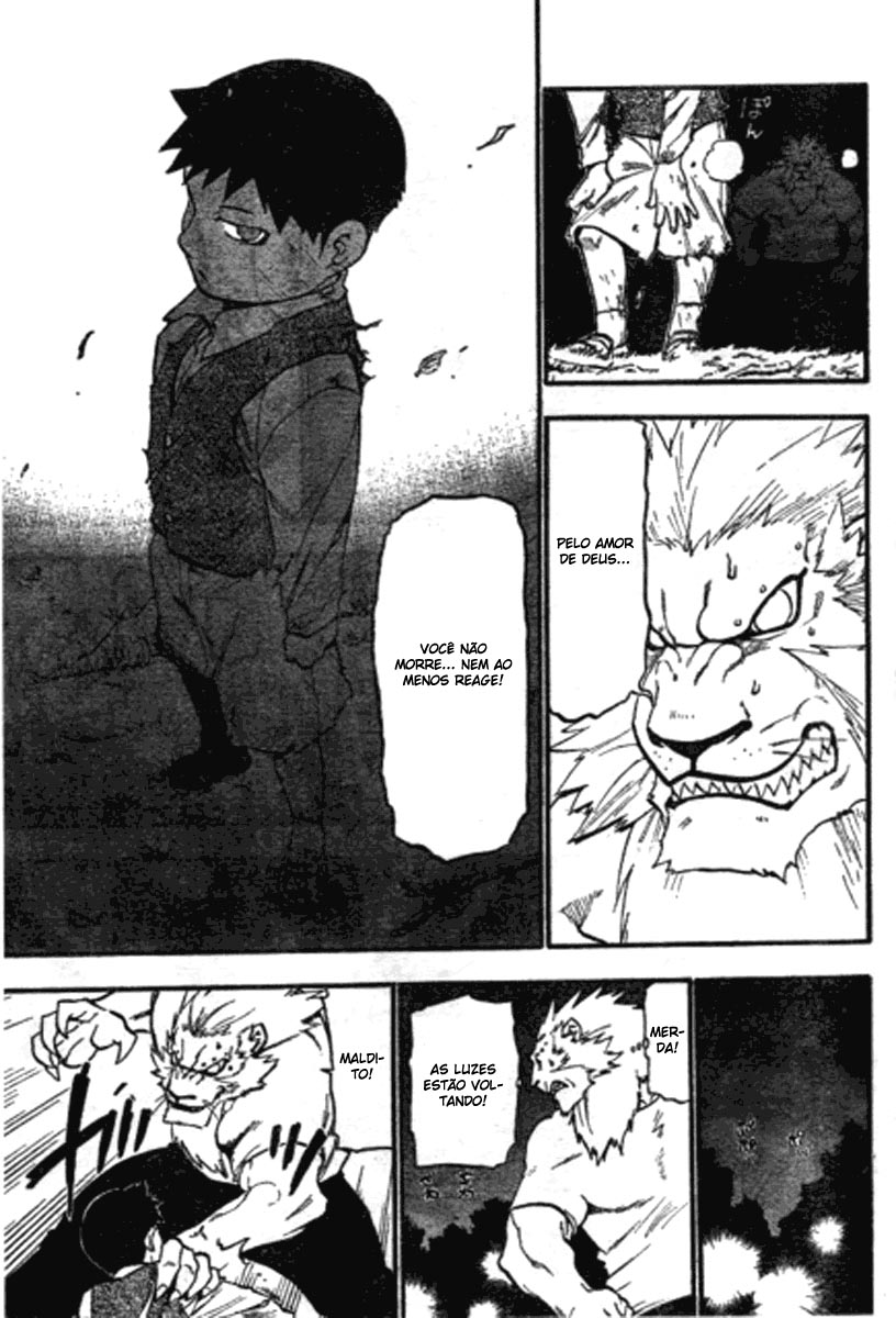 Fullmetal Alchemist Capítulo 87 Página 25