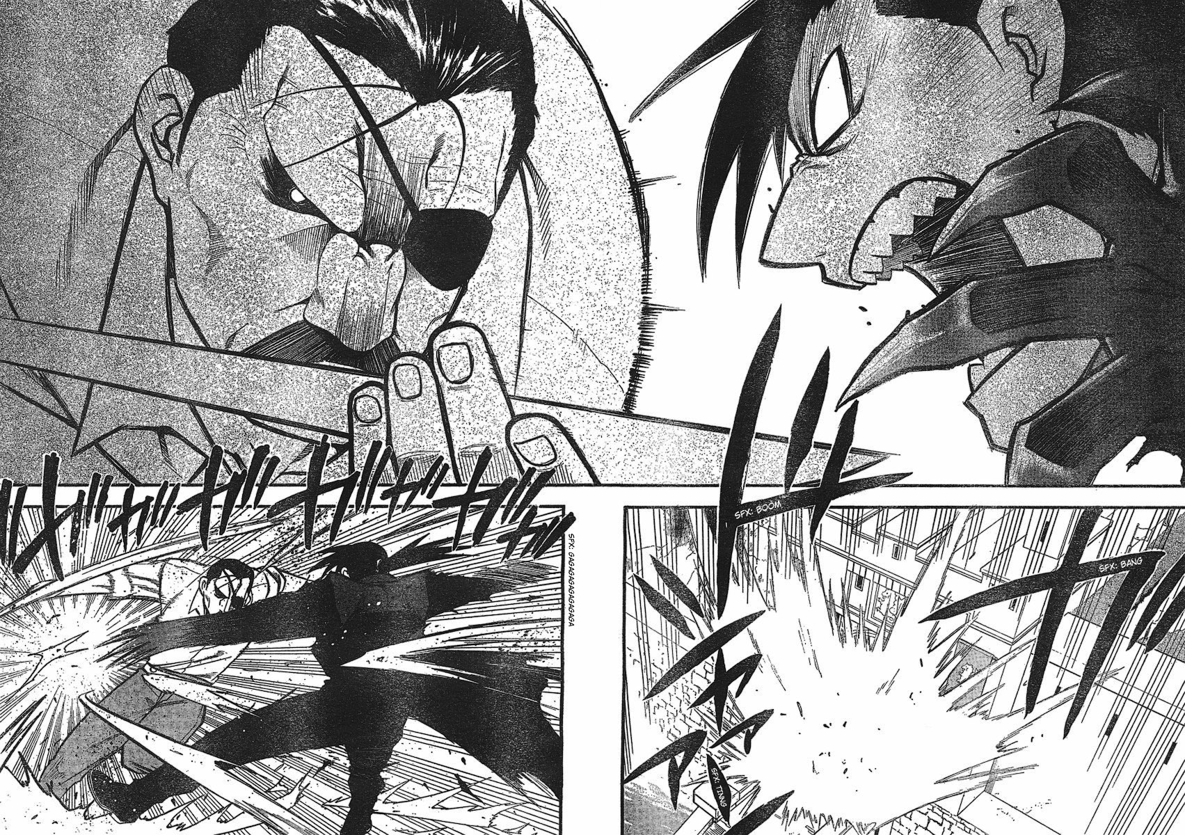 Fullmetal Alchemist Capítulo 98 Página 10
