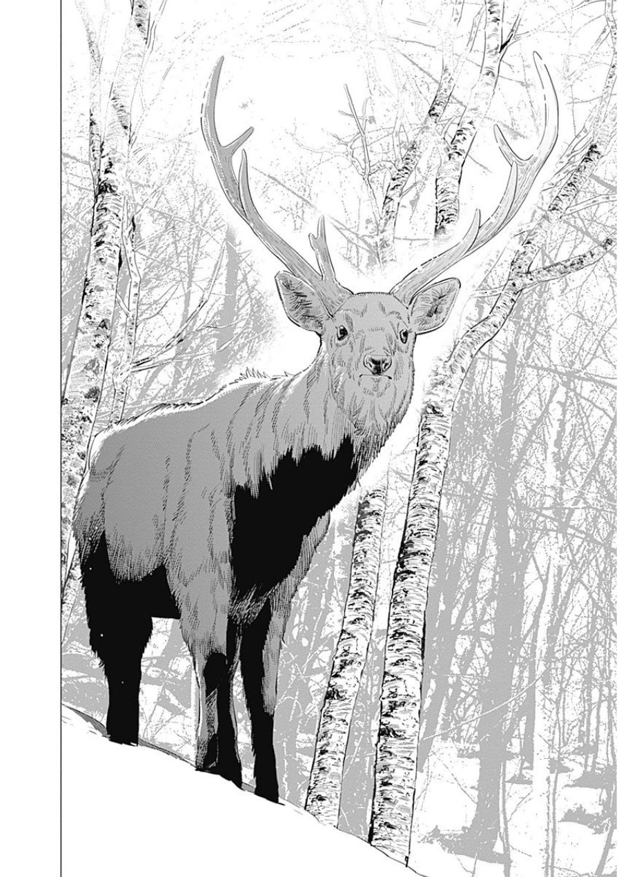 Golden Kamuy Capítulo 22 Página 11