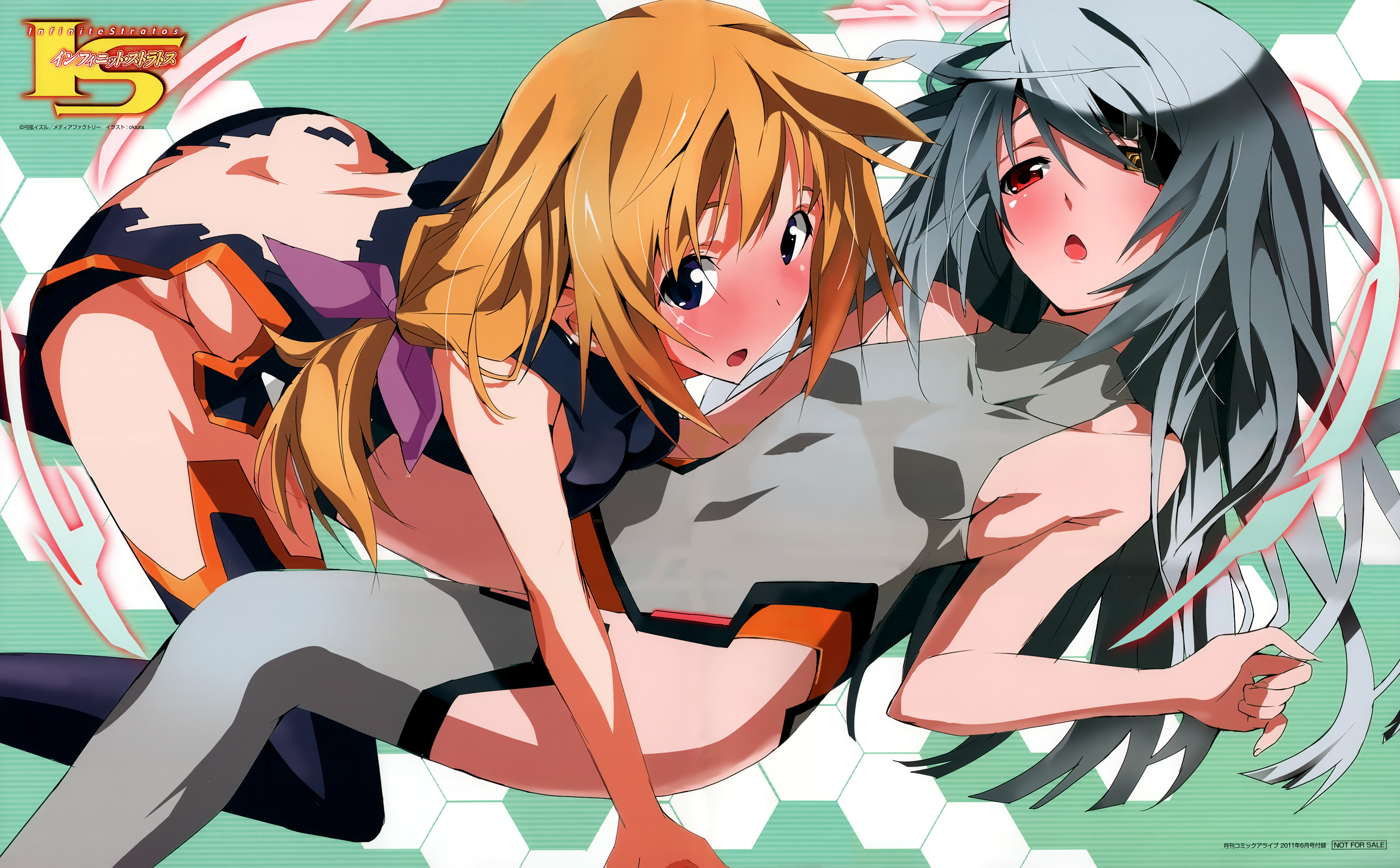 Infinite Stratos Capítulo 16 Página 1