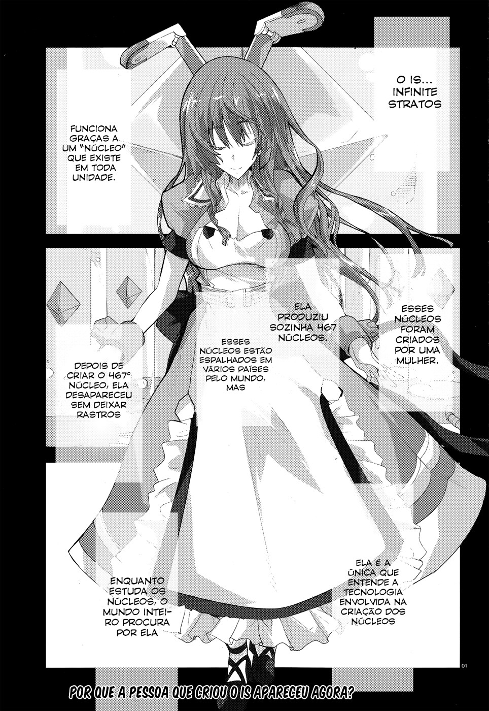 Infinite Stratos Capítulo 22 Página 1
