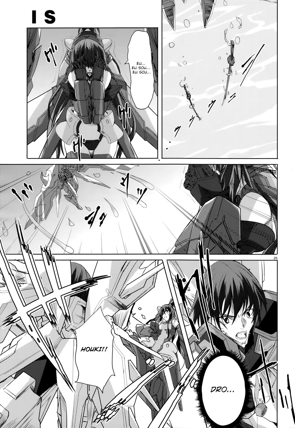 Infinite Stratos Capítulo 23 Página 25