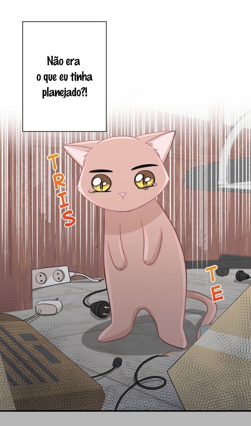 Just for a Meowment Capítulo 11 Página 37