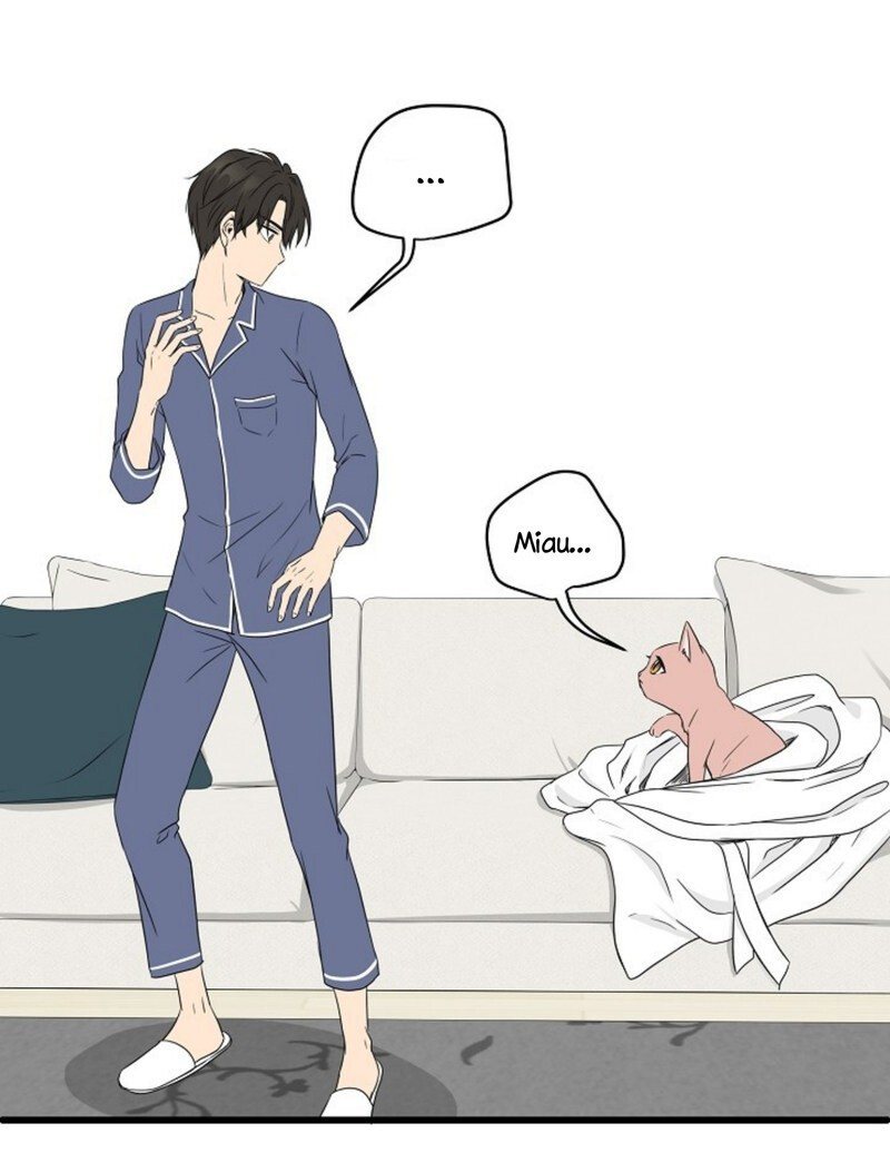Just for a Meowment Capítulo 2 Página 38
