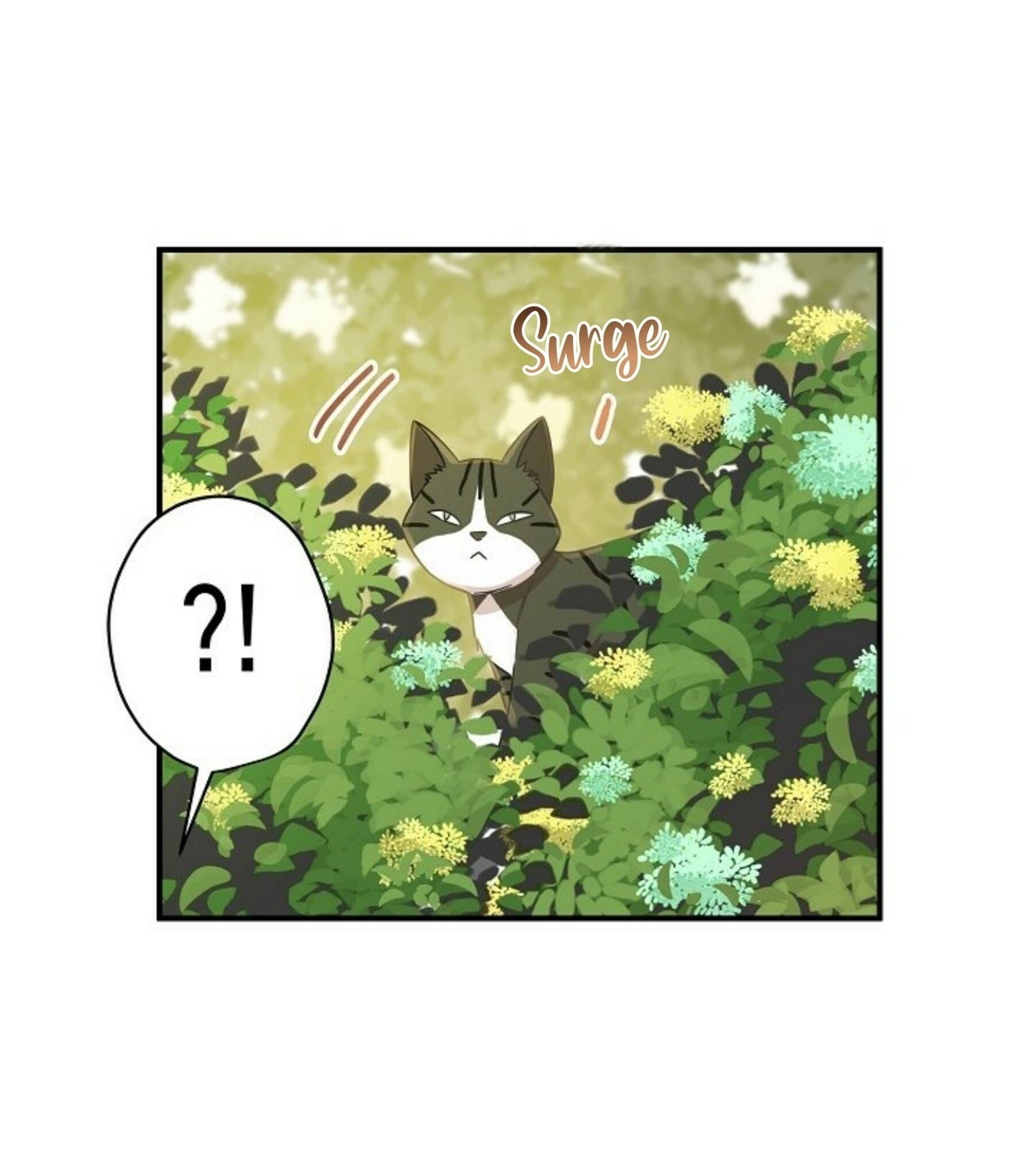 Just for a Meowment Capítulo 20 Página 34