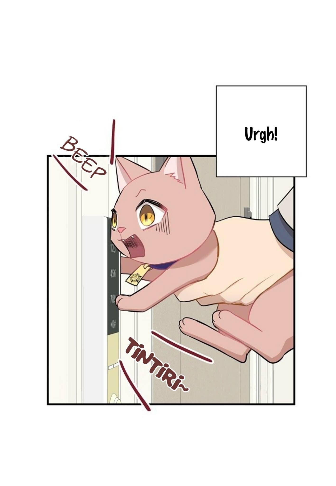 Just for a Meowment Capítulo 21 Página 38
