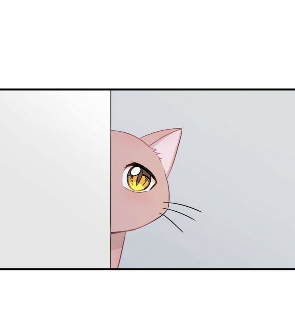 Just for a Meowment Capítulo 6 Página 25
