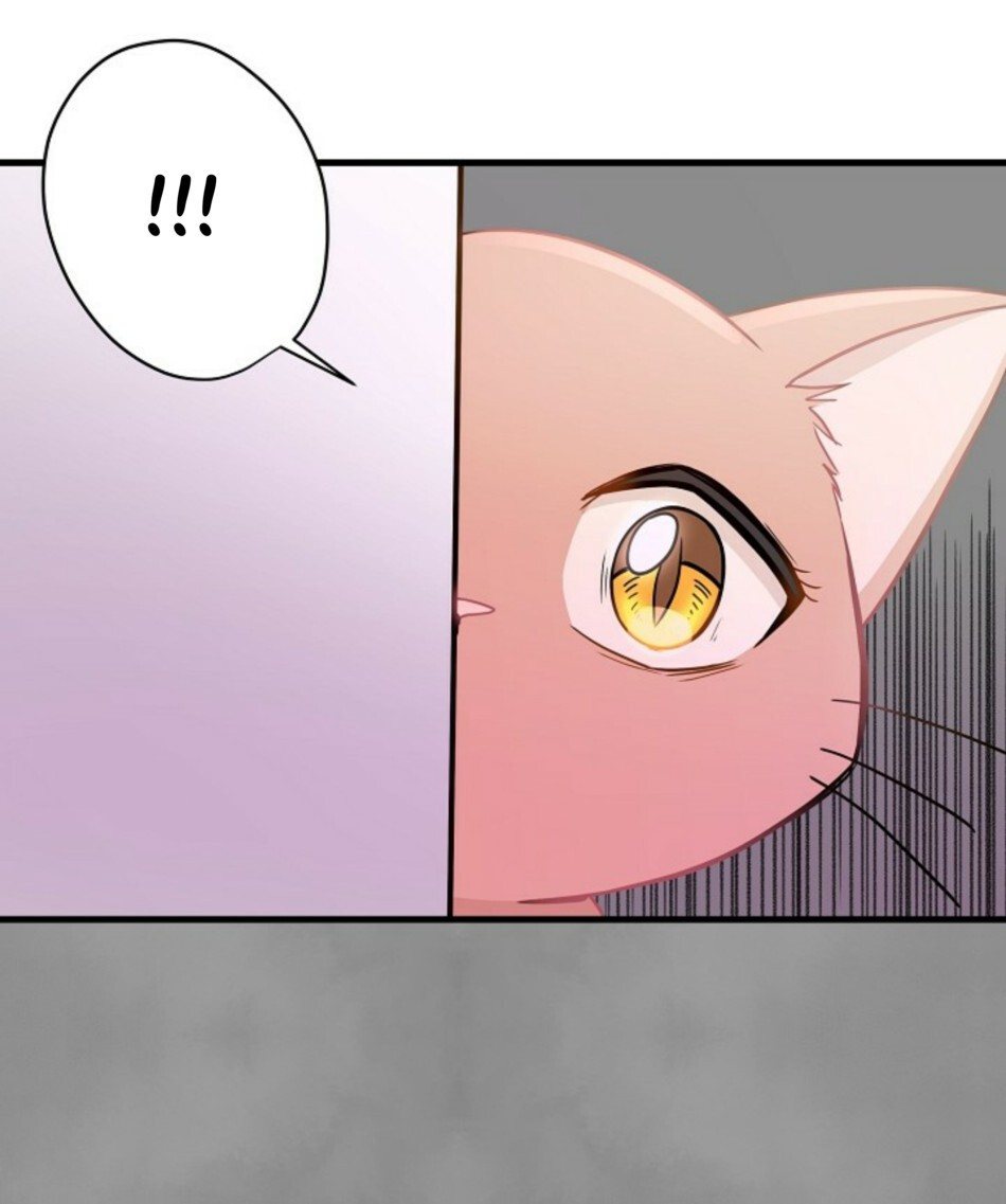 Just for a Meowment Capítulo 6 Página 31