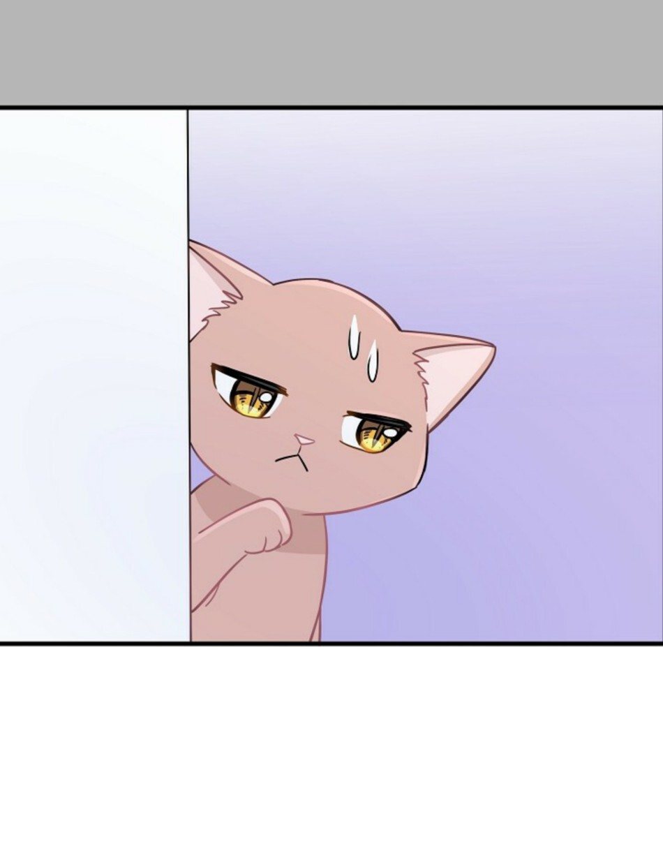 Just for a Meowment Capítulo 6 Página 39