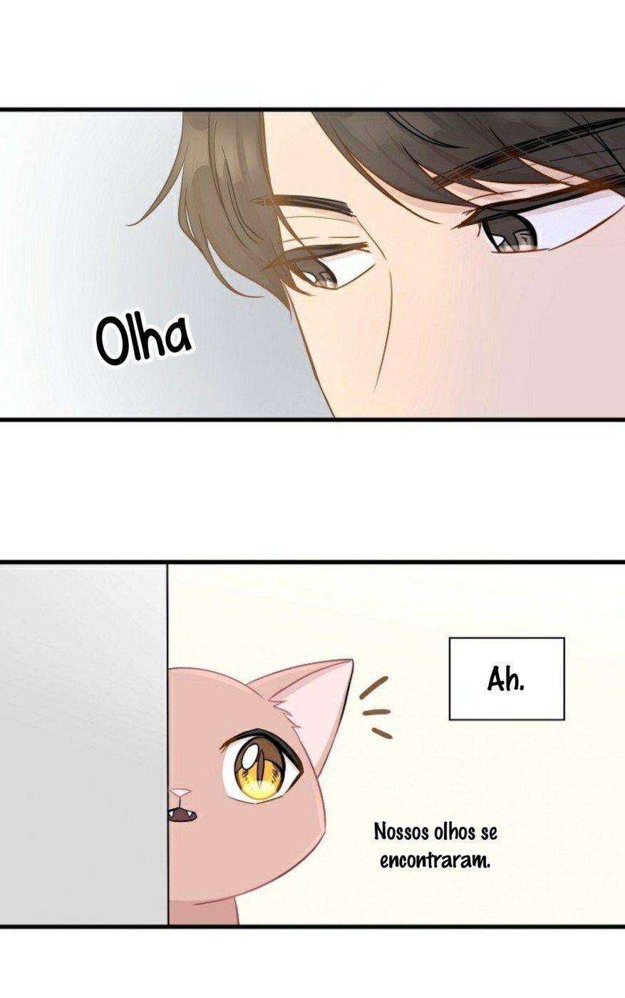 Just for a Meowment Capítulo 6 Página 46