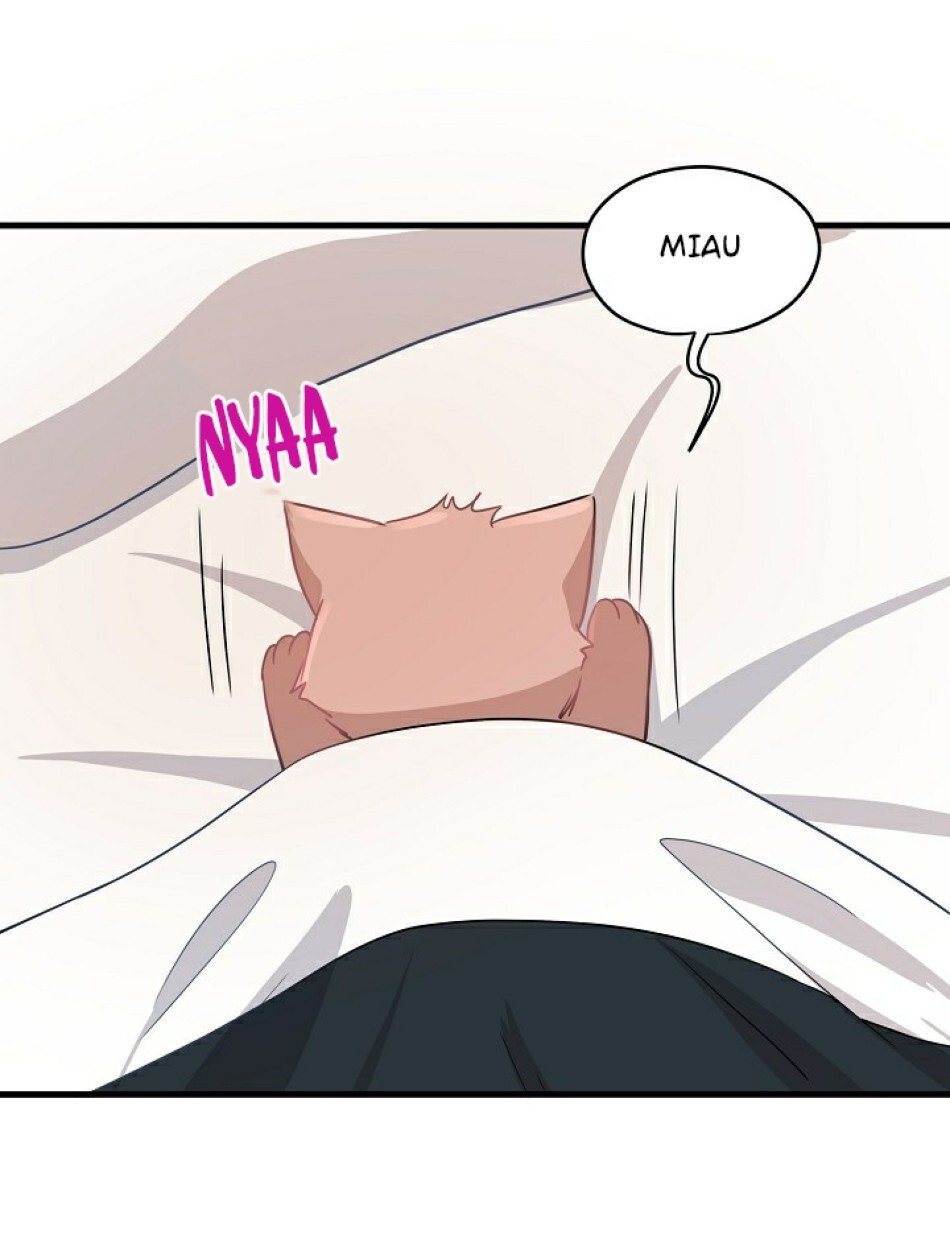 Just for a Meowment Capítulo 8 Página 52