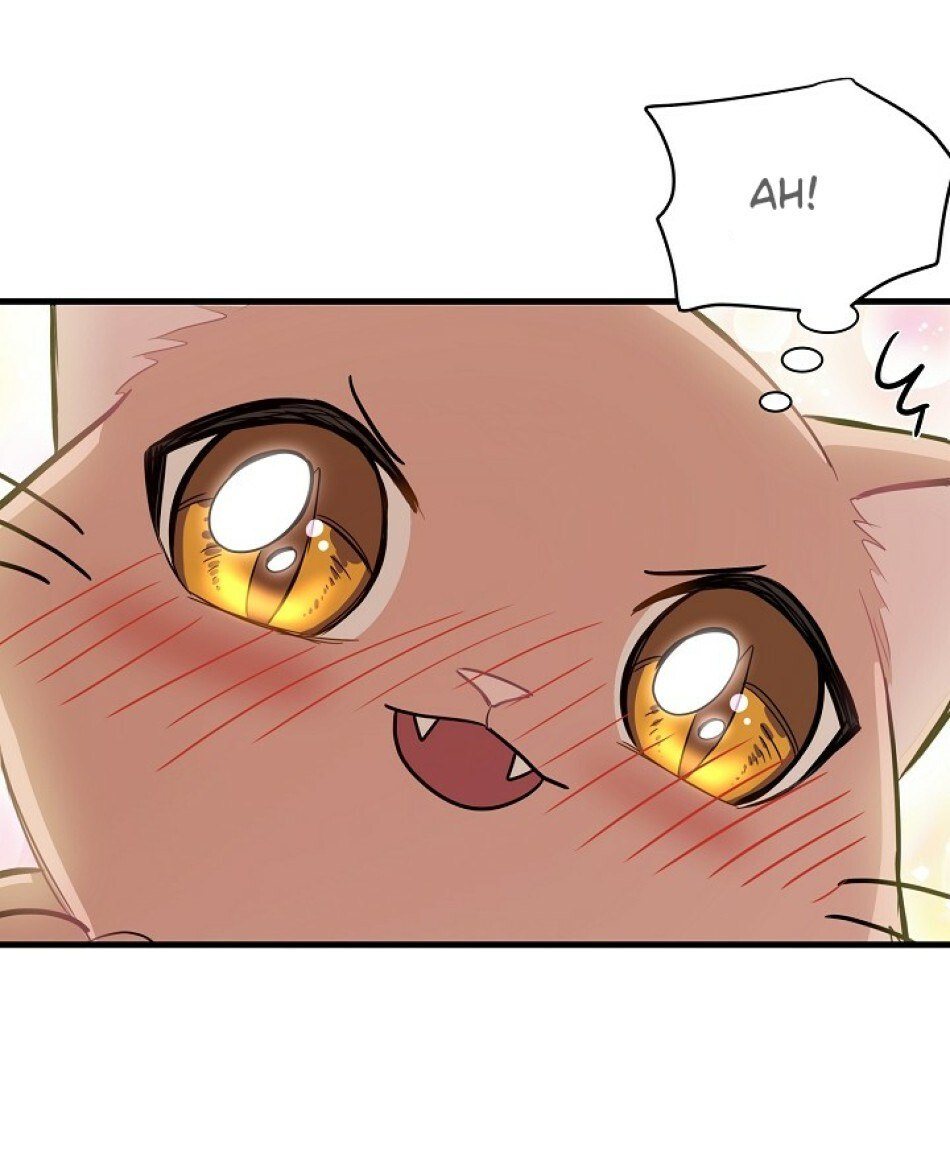 Just for a Meowment Capítulo 8 Página 70