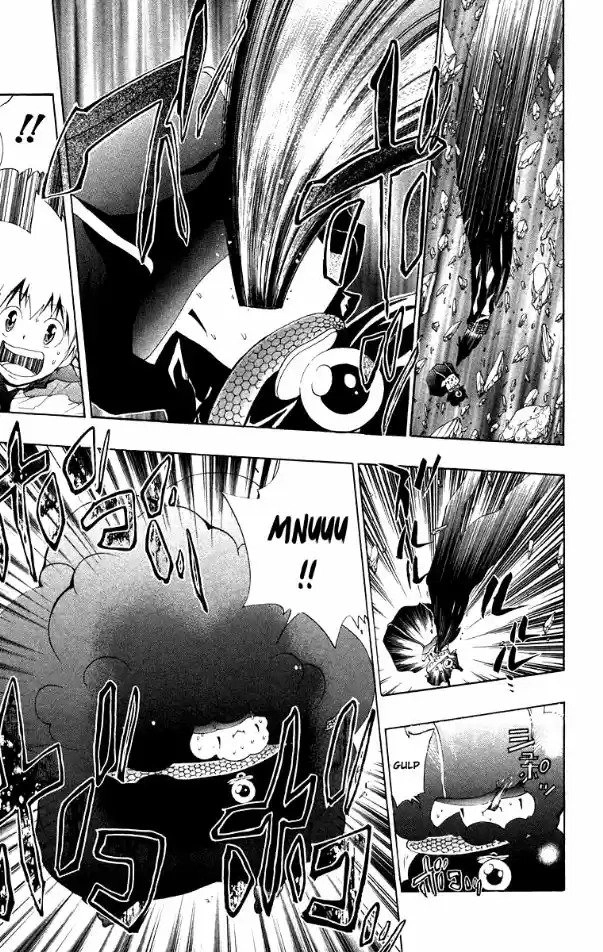Katekyo Hitman Reborn! Capítulo 117 Página 11