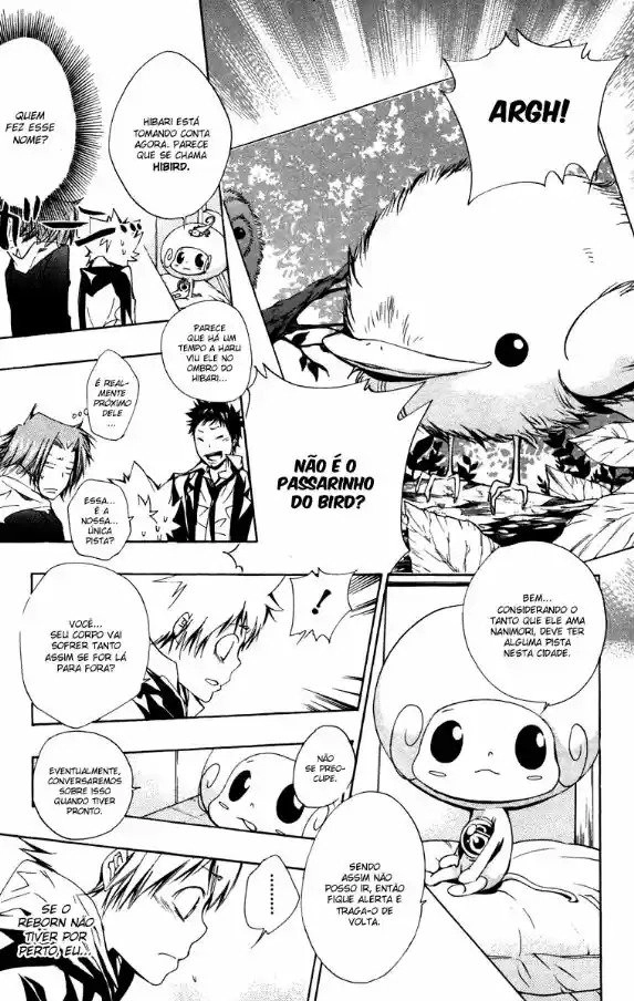 Katekyo Hitman Reborn! Capítulo 141 Página 13
