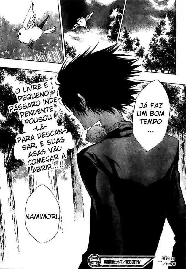 Katekyo Hitman Reborn! Capítulo 152 Página 19