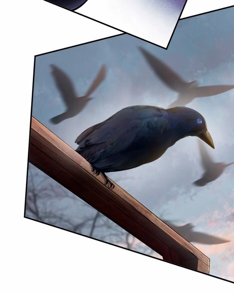 Liberte Aquela Bruxa Capítulo 134 Página 12