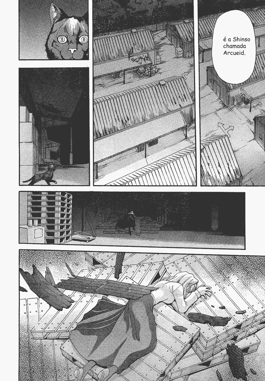 Lunar Legend Tsukihime Capítulo 55 Página 11