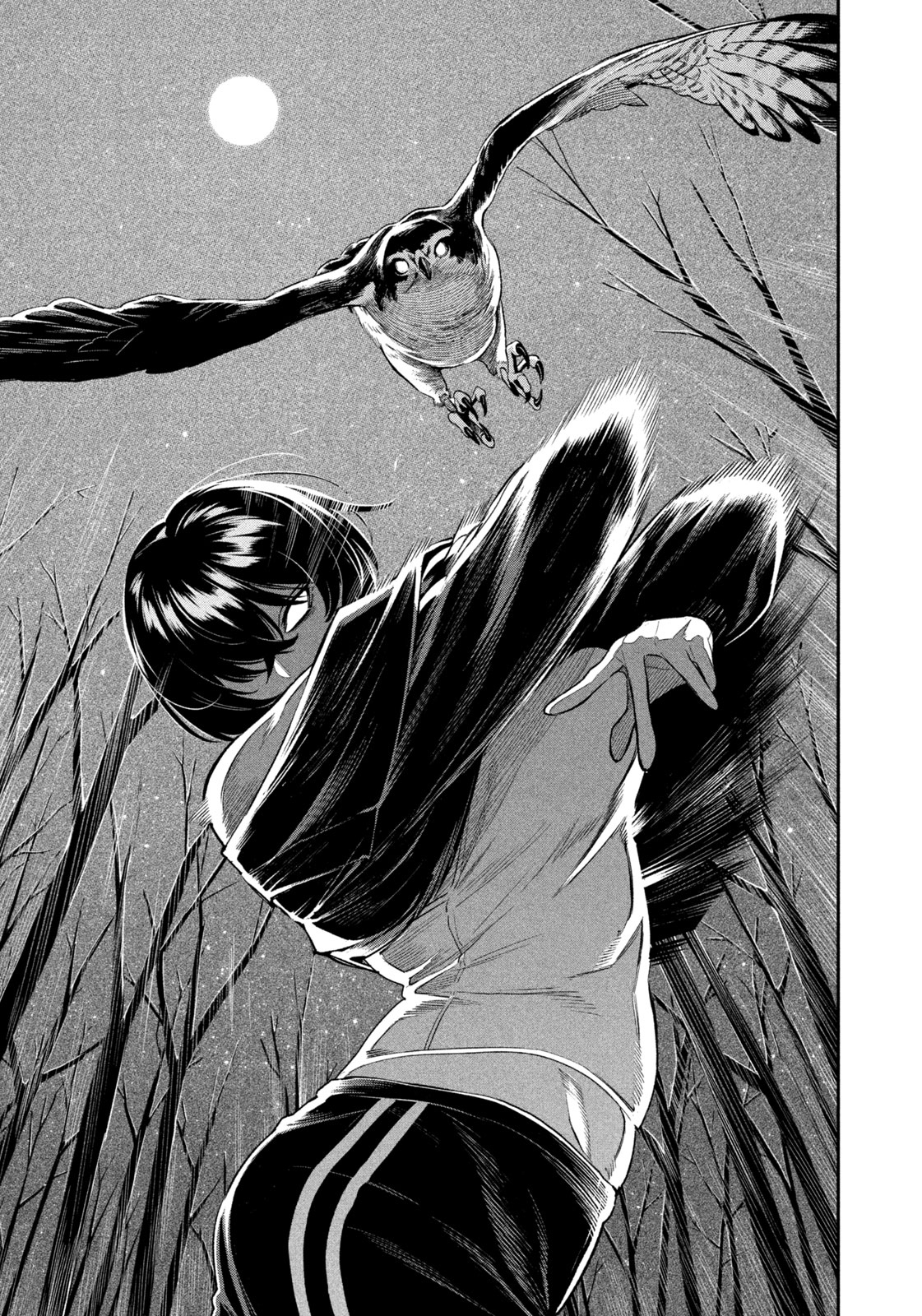 Nighthawk Returns Capítulo 1 Página 21