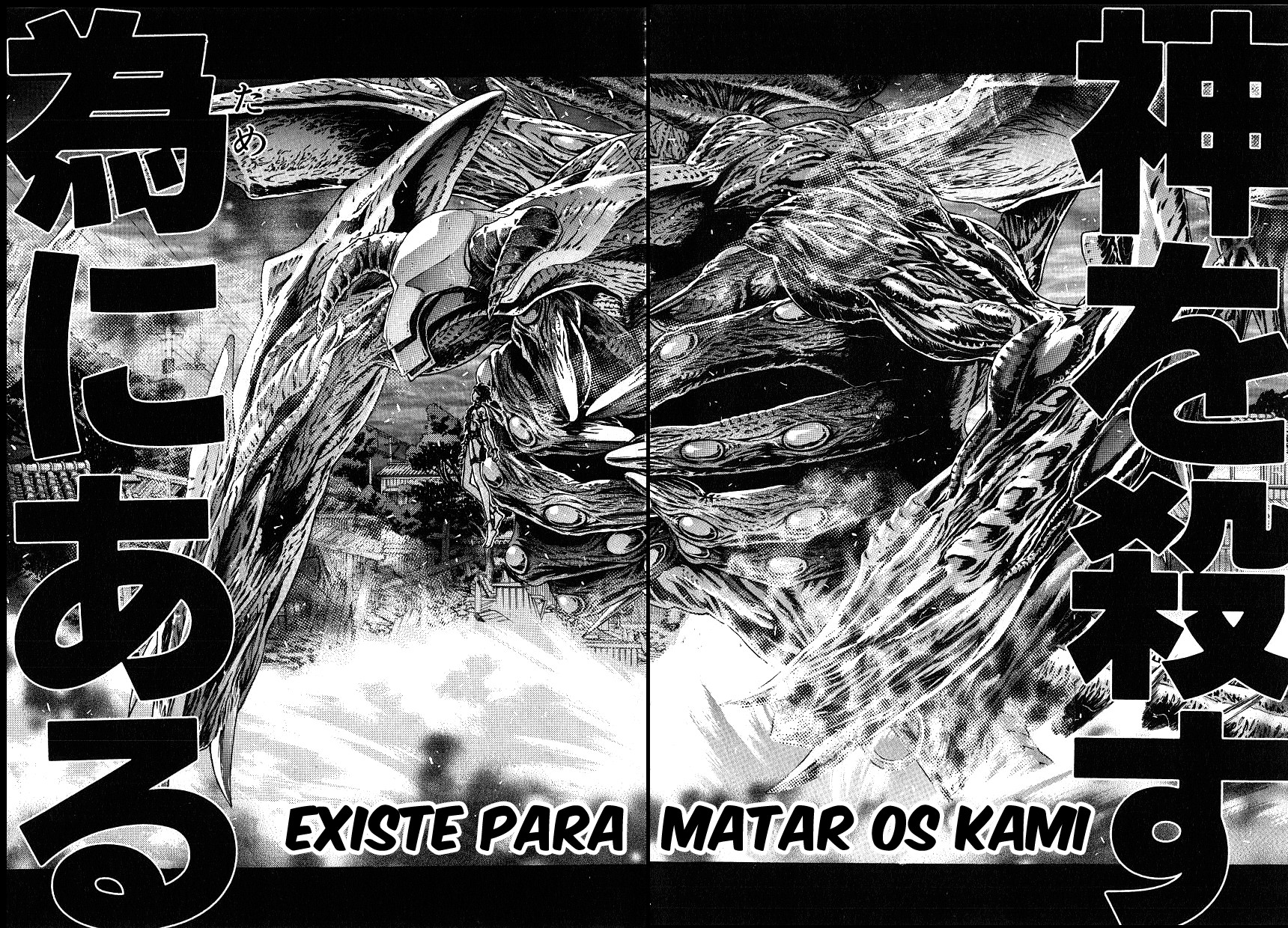NIRAIKANAI Capítulo 28 Página 11