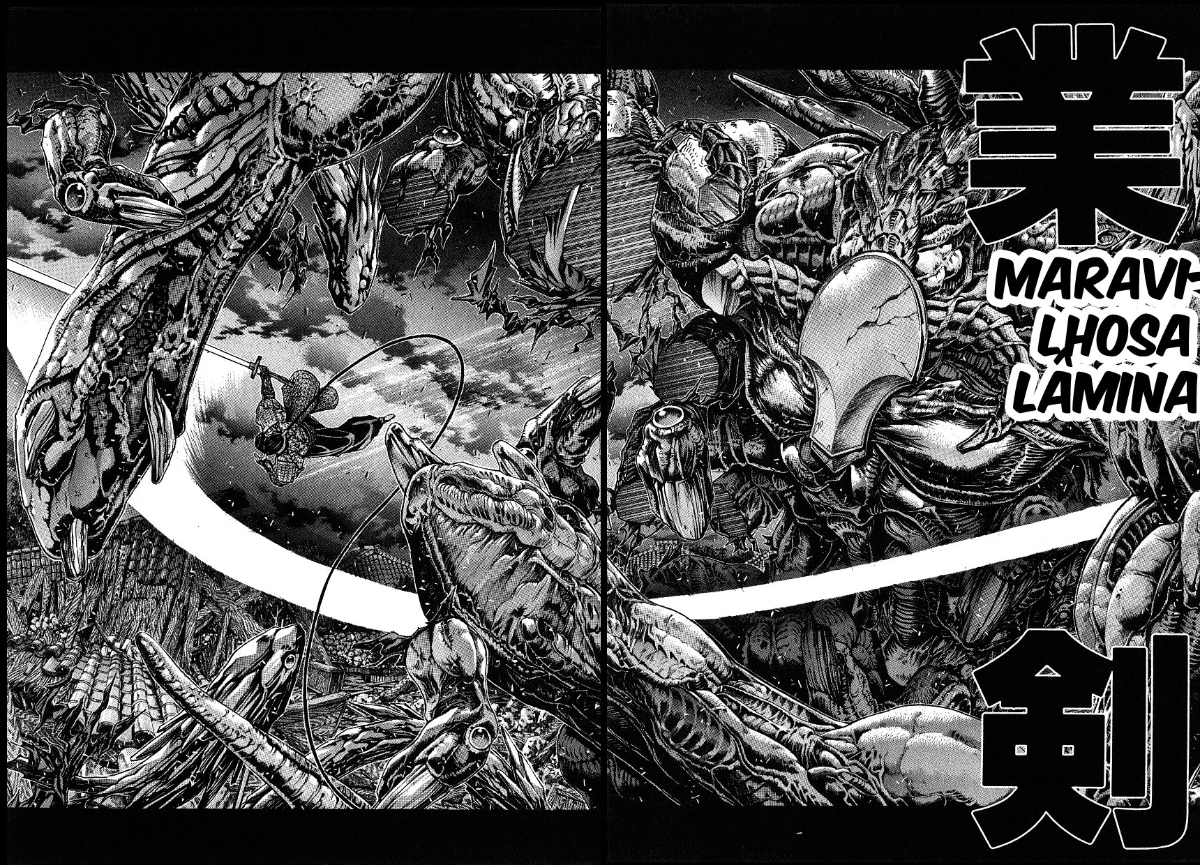 NIRAIKANAI Capítulo 33 Página 9