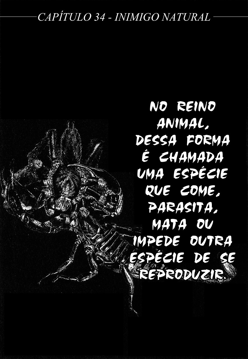 NIRAIKANAI Capítulo 34 Página 1