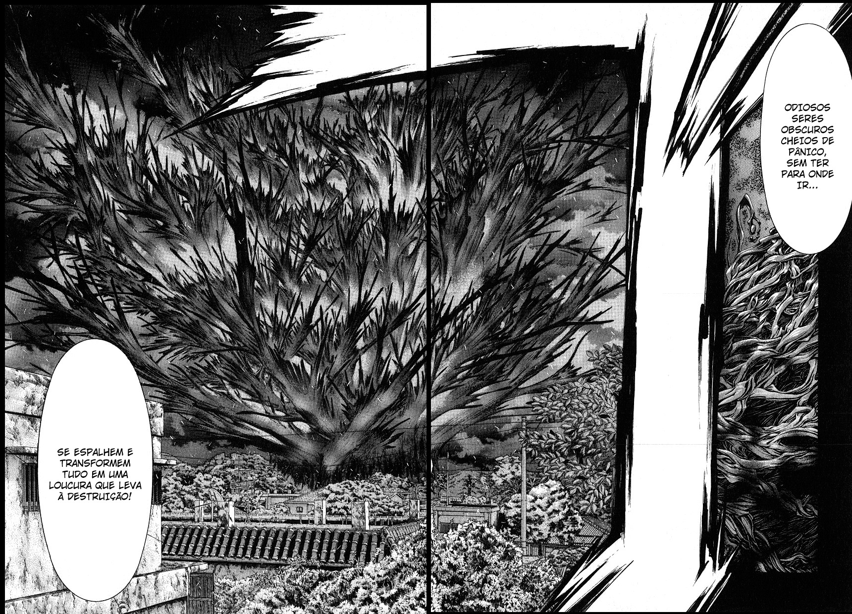 NIRAIKANAI Capítulo 38 Página 13