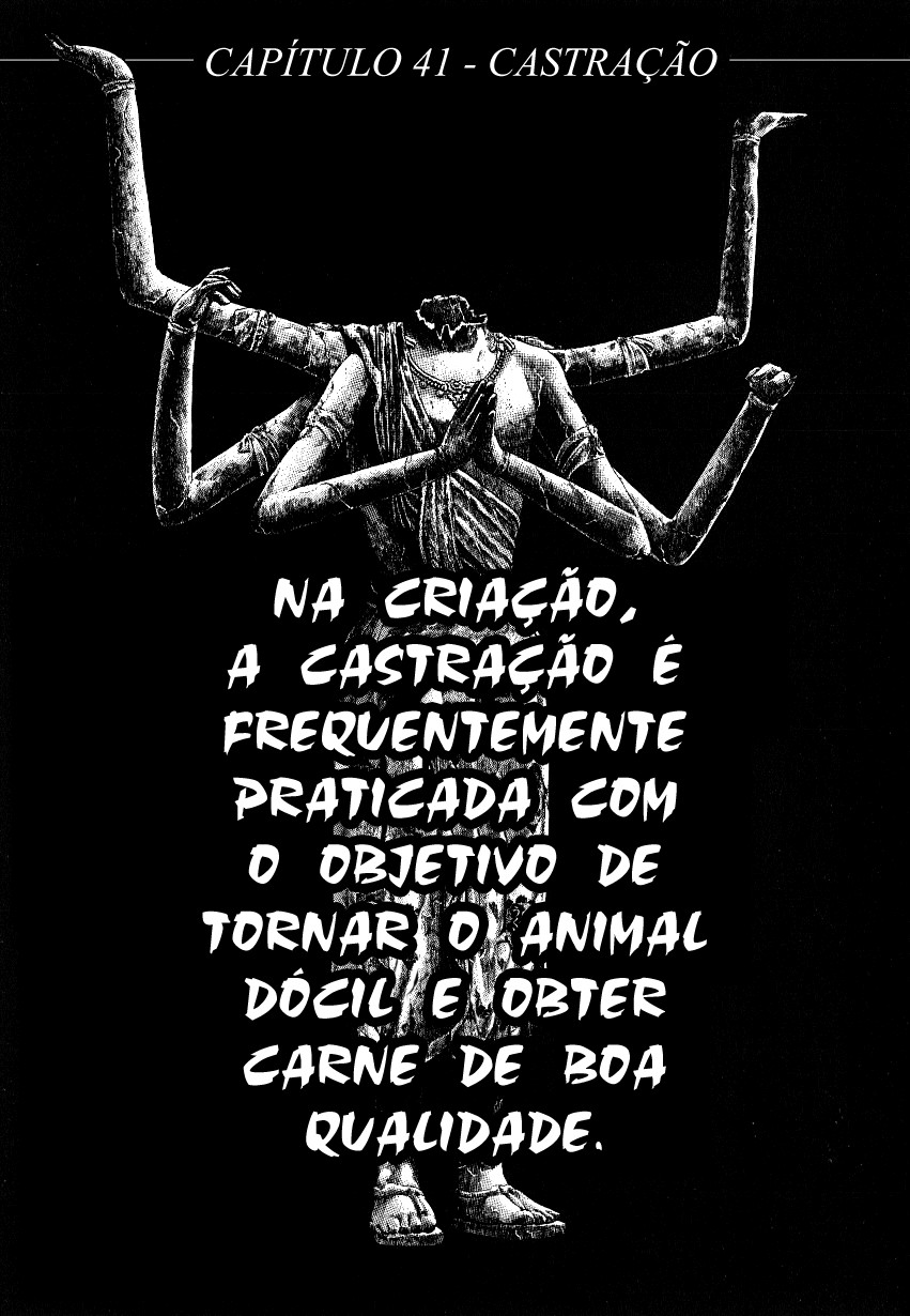 NIRAIKANAI Capítulo 41 Página 1